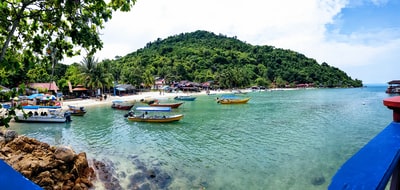 Leafy trees nearby water during the day
